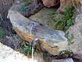 Fuente Natural cerca de El Quejigal