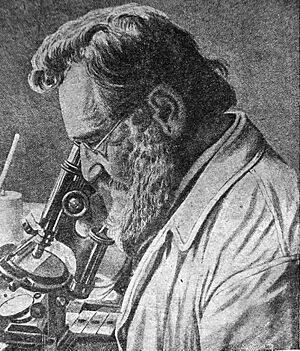 Archivo:Illya Mechnikov