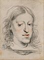 Juan Carreño de Miranda - Retrato de Carlos II. - Google Art Project