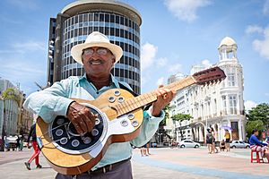 Archivo:Man playing Brazilian folk music of Recife