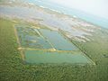 Manmade ponds near San Pedro - panoramio