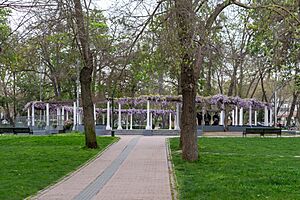 Archivo:Pérgola Gabriela Mistral, Limache 20230905 01