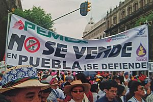 Archivo:PEMEX no se vende - Protesta contra reforma energética de Felipe Calderón - CDMX 2008