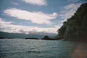 Archivo:Pacífico colombiano