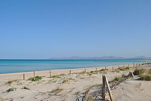 Archivo:Playa de Muro