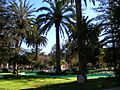 Plaza Ovalle1