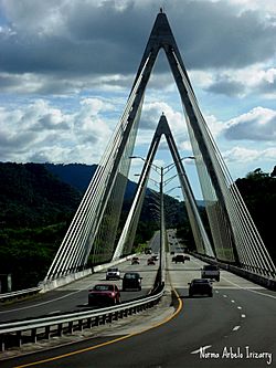 Puente Atirantado en Naranjito, Puerto Rico - panoramio.jpg