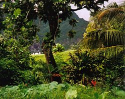 Archivo:Rainforest Fatu Hiva