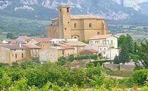 Samaniego - Viñedos 12.jpg
