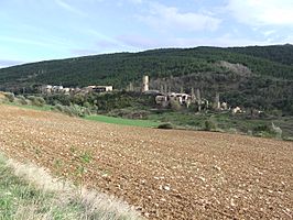 Sant Esteve de la Sarga. Alsamora 26.JPG