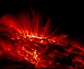 Sunspot TRACE