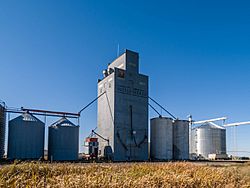 Sutton, North Dakota grain elevator.jpg