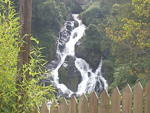 Archivo:Tequendamita