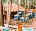 Tranquilandia Colombia by DEA