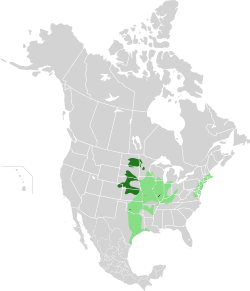 Mapa de distribución de la especie. Verde claro: distribución original Verde oscuro: distribución actual