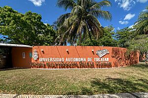 Archivo:UADY Tizimín