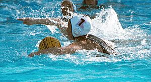Archivo:Waterpolodribble