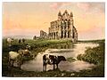 Whitby abbey