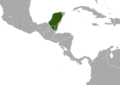 Yucatan Small-eared Shrew area