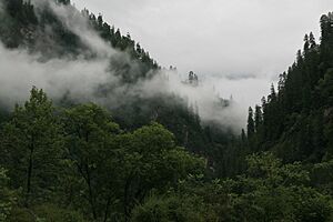 Archivo:云雾缭绕 - panoramio (1)