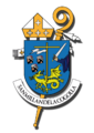 16.03.escudo sanmillan