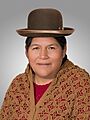 Basilia Rojas Mamani. Official portrait, 2020. Chamber of Deputies of Bolivia