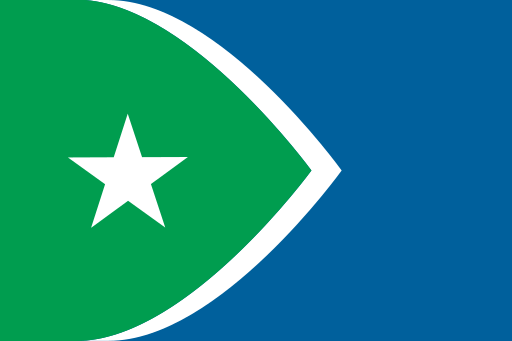 CR-Flag History-and-Progress