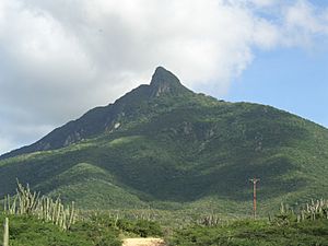 Archivo:Camino al Cerro Santa Ana