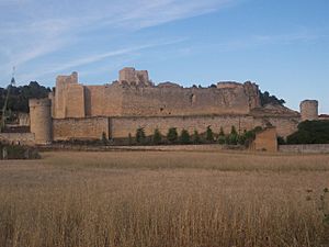 Archivo:Castillo de Trigueros del Valle, Valladolid, Castilla. (MAG)