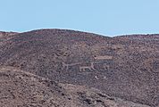 Cerros Pintados, Pampa del Tamarugal, Chile, 2016-02-11, DD 120