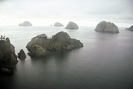 Chiswell Island Group, Gulf of Alaska, 1989.jpg