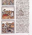 Codex florentino 51 9