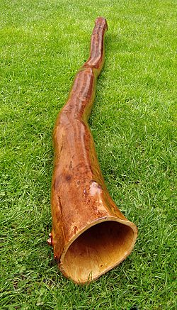 Archivo:Didgeridoo-grass