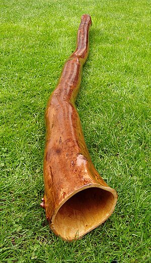 Archivo:Didgeridoo-grass