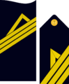 Divipalaarmadaes 10