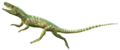 Euparkeria white background