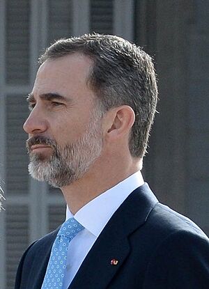Archivo:Felipe VI 2017 (cropped)