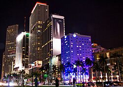Florida city, USA, at night.jpg