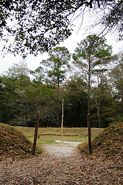 Archivo:Fort Raleigh National Historic Site earthworks 3 - Sarah Stierch