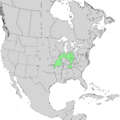 Fraxinus quadrangulata range map 1