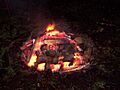 Fuego para curanto-2