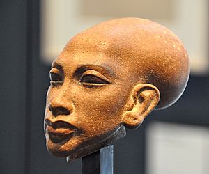 Archivo:Head of a daughter of Akhenaten. 18th Dynasty, c. 1345 BC. State Museum of Egyptian Art, Munich