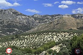 J23 253 Castillo de las cinco Esquinas.jpg