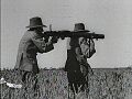 Lewis Gun during Emu War