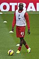 Mario Balotelli (15440231808) (cropped)