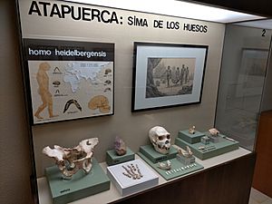 Archivo:Museo de Burgos en julio de 2022 10
