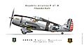 P47D 460th FS