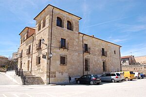Archivo:Palacio de los Guzmán y Santoyo 1
