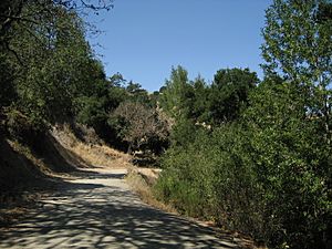 Archivo:Pathway in Briones Regional Park, California