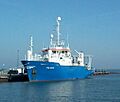 Pelagia op Texel